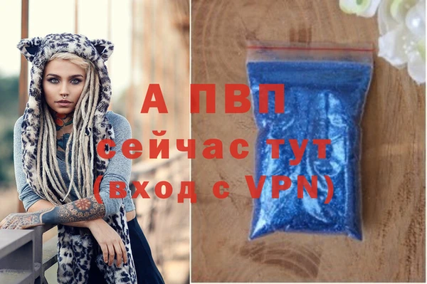 гашик Горно-Алтайск