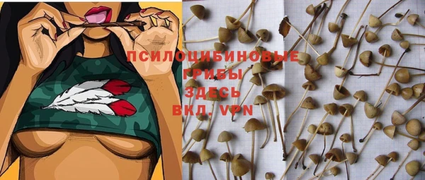 прущая мука Горнозаводск